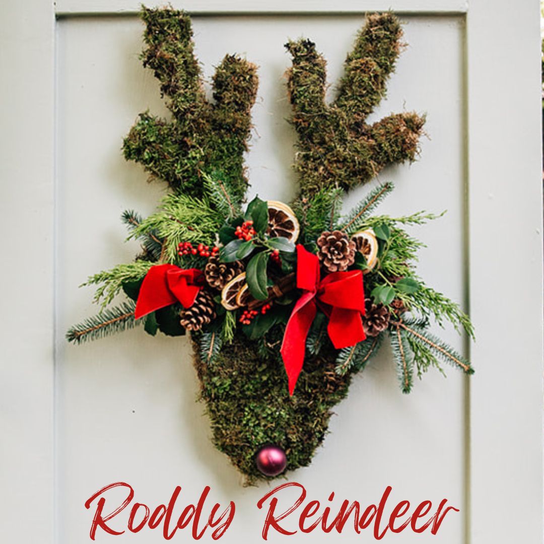 Roddy Reindeer